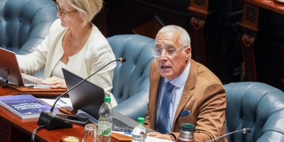 Interpelaci�n al Ministro Carlos Negro