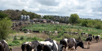 La C�mara de la Industria L�ctea responsabiliz� al sindicato por la demora en lograr un acuerdo en la negociaci�n colectiva