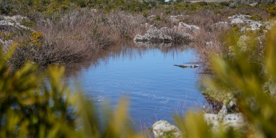 La Federaci�n Rural se opone a la creaci�n de una represa en Casup� porque perjudica la producci�n y el ambiente en la zona