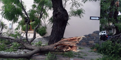 Los Bomberos realizaron 57 intervenciones en distintos departamentos debido a los fuertes vientos