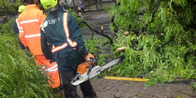 Voladura de techos y ca�da de �rboles en Rivera a ra�z del temporal