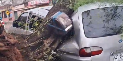 M�s de 350 llamados de emergencia y un centenar de �rboles ca�dos fue el saldo primario del temporal que afectara la ciudad de Rivera