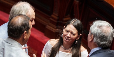 "No tiene nada que ver con juntar fuerzas", dijo senadora del FA por patrullaje de blindados en barrios