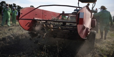Los productores rurales le solicitaron al Poder Ejecutivo una rebaja del 15% en el precio de los combustibles a partir de julio