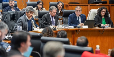 Julieta Sierra calific� como �muy s�lida y robusta� la comparecencia del MEF ante la Comisi�n de Presupuestos de la c�mara baja