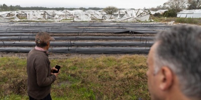 El Gobierno decret� la emergencia granjera en Salto tras el temporal que afect� a unos 300 productores