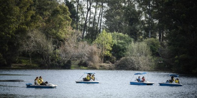 Vecinos del Parque Roosevelt y Fauna Libre Uruguay se movilizaron ante la posibilidad de una tala de �rboles por parte de la Intendencia
