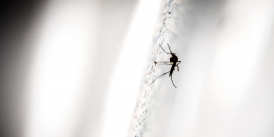 El Ministerio de Salud P�blica se prepara de cara al fen�meno de �El ni�o� para enfrentar al dengue y chikungunya