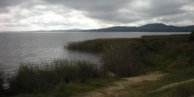Blancos de Maldonado piden declarar "�reas protegidas" a Laguna del Sauce y su cuenca