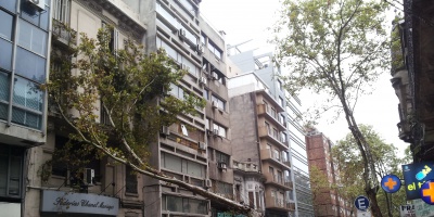 Operativo por �rbol ca�do en calle R�o Branco