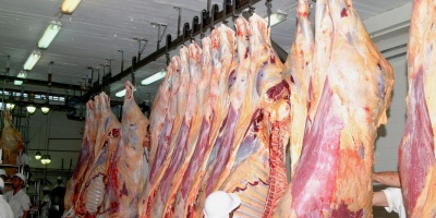 Creci� 13 % la exportaci�n de productos c�rnicos en primeros meses del a�o