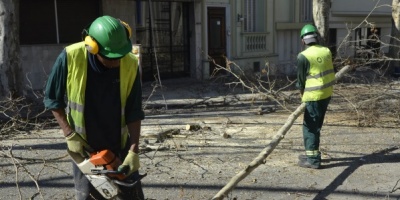 Inician poda de arbolado en el Municipio CH