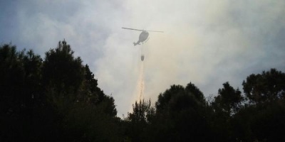 Bomberos: Incendio en Maldonado podr�a quedar controlado en la tarde