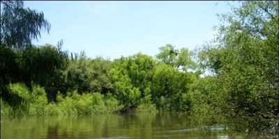 Bosques de algarrobales de Nuevo Berl�n ingresar�n al Sistema de �reas Protegidas