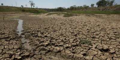 Gobierno decret� la emergencia agropecuaria para el este del pa�s