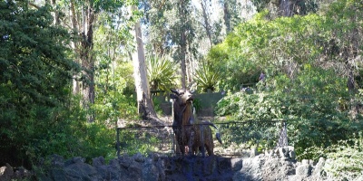 Bomberos control� incendi� en el Cerro del Toro de Piri�polis