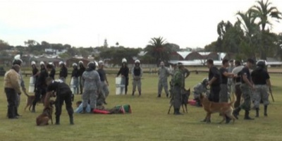 Perros de la Unidad K9 trabajar�n en el cl�sico con Guardia Republicana