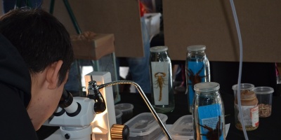 Facultad de Ciencias celebrar� Semana de la Ciencia y la Tecnolog�a