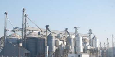 MSP investigar� si molinos afectan la salud de escolares en Artigas