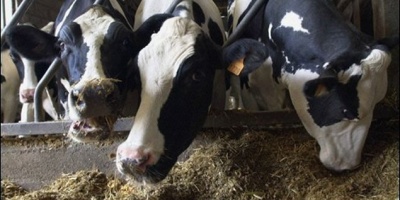 Asociaci�n Rural plante� a V�zquez aportar mayor competitividad al sector de los agronegocios