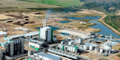 Montes del Plata inici� su producci�n industrial
