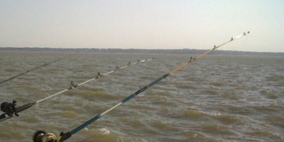 CARU inform� presencia de pez "chupasangre" en R�o Uruguay