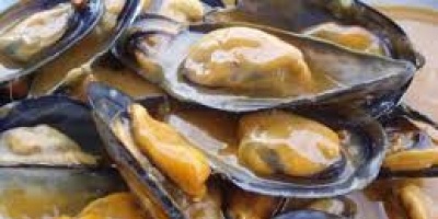 Se mantiene la alerta por marea roja en los balnearios de Maldonado y Rocha