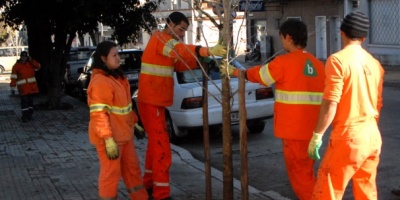 Plantar�n m�s de 120 �rboles en territorio del Municipio B