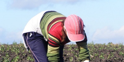 Casi el 50% de los trabajadores cree que los empresarios solo piensan en su bolsillo