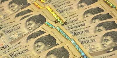 Ingreso per c�pita fue de 16.573 pesos en mayo