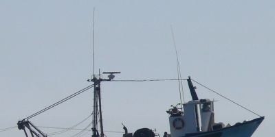 Denuncian presencia de barcos pesqueros brasile�os en costa de Rocha