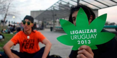 Preocupaci�n por consecuencias de la Ley de Marihuana en el tr�nsito