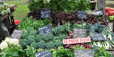 Mercado Modelo inform los precios de los comestibles y hubo pocos compradores