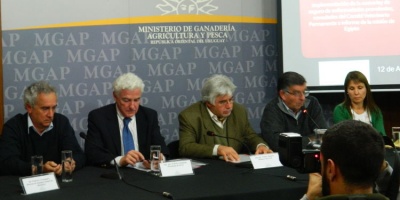 En un mes se prev realizar el primer embarque de carne bajo la certificacin Never Ever hacia EE.UU