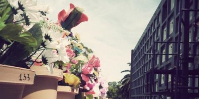 Intendencia de Montevideo cita a titulares de 90 nichos en cementerio del Norte