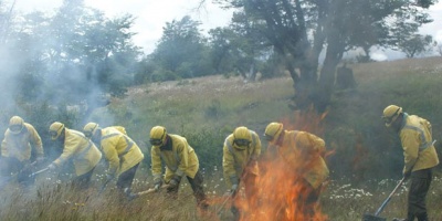 Incendio en entrada a Cabo Polonio fue controlado por Bomberos