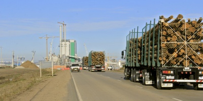 Montes del Plata contest acerca de la multa impuesta por DINAMA