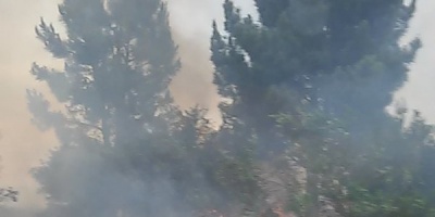 Incendio en Balneario Argentino afect� 80 hect�reas y cinco viviendas