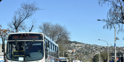IM adopt medidas para mejorar trnsito; ya no se podr estacionar en varios puntos 