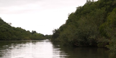 Se lleg� a las 9083 personas desplazadas