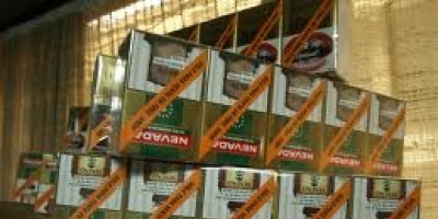 Incautan cigarrillos en la costa salte�a