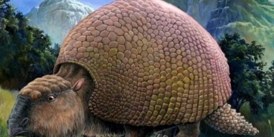 Hallaron Gliptodonte en Florida