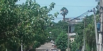 Internos del Instituto de Rehabilitaci�n de Salto limpian la ciudad de manera voluntaria 