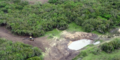 Constatan tala de monte nativo en la cuenca de la Laguna del Cisne