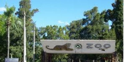 Salto: Osa Eva no se va y el Zool�gico municipal permanecer� abierto