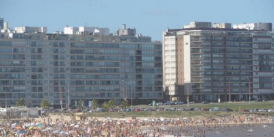 Nueva presencia de cianobacterias afecta las playas