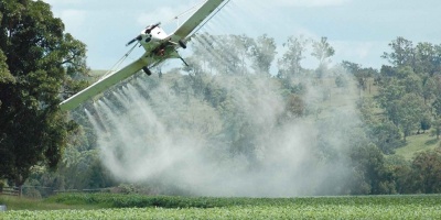 Ambientalistas enviaron carta abierta a V�zquez por una posible fumigaci�n masiva