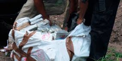 Incautaron casi 700 kilos de marihuana en Lavalleja