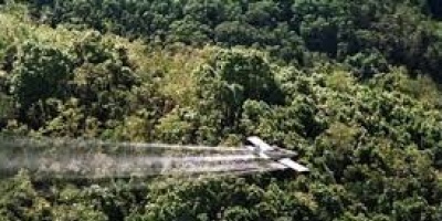 Ambientalistas preocupados por fumigaci�n masiva