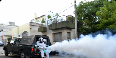 IM fumigar nuevamente en Pocitos y tiene prevista dos ms 